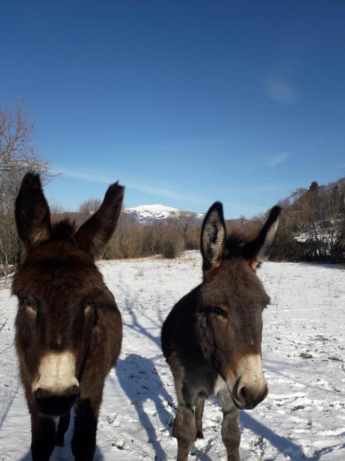 B&B Nina San Leonardo  Zewnętrze zdjęcie